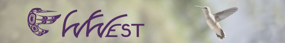 cropped-Hummingbird-banner-faded.jpg